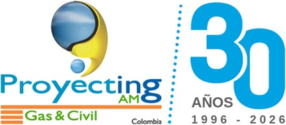 Proyecting AM · 30 años de experiencia (1996-2026)